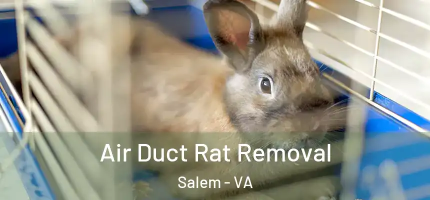 Air Duct Rat Removal Salem - VA