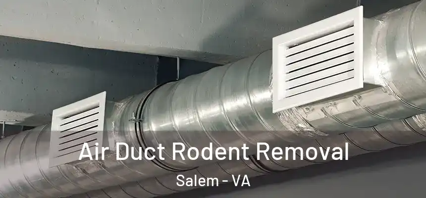 Air Duct Rodent Removal Salem - VA