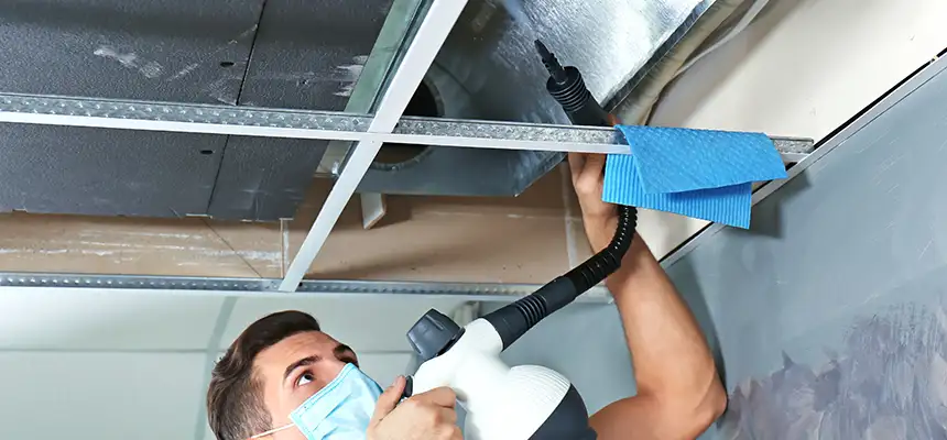 Our Air Duct Rodent Removal Services in Salem, VA
