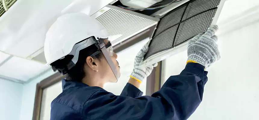 Our Mold & Mildew Removal from Air Ducts Services in Salem, VA