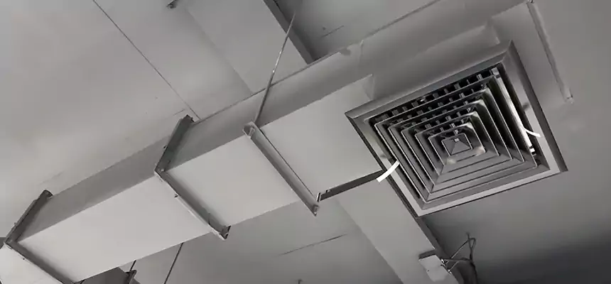 Our Rodent Droppings In Vents Services in Salem, VA