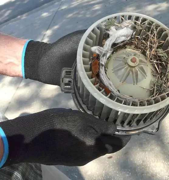 About Air Duct Mice Removal in Salem, VA