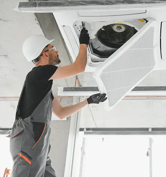 About Air Duct Rodent Removal in Salem, VA