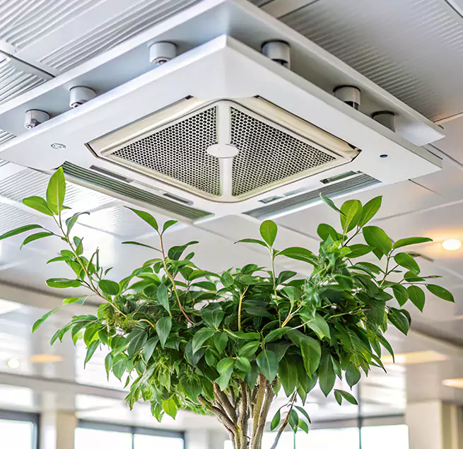 Why Homeowners & Businesses Trust Us in Salem, VA?